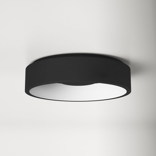 Lucien Acrylic LED Flush Mount & Reviews AllModern